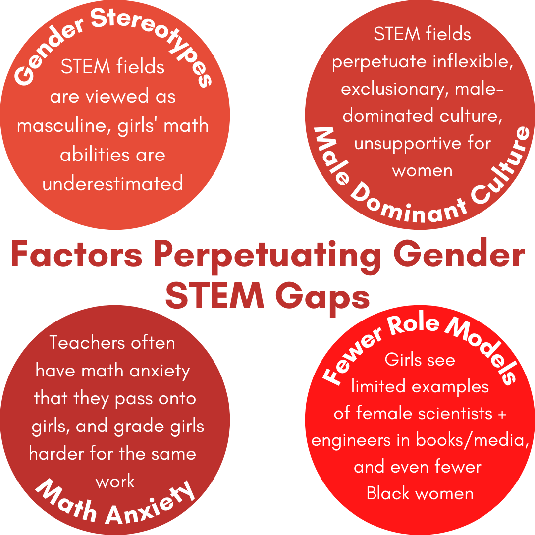 Factors Perpetuating Gender STEM Gaps